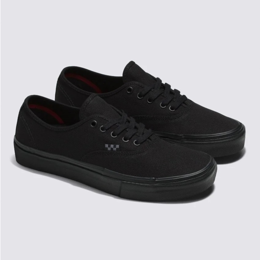 Vans Skate Authentic Triple Black